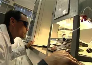 Self-Cleaning Buildings