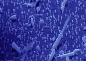 New biomedical carbons: from Lab to Market