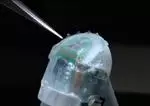 The Artificial Finger