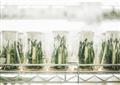 Biotechnology: navigating a minefield