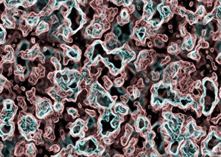 Microorganism entering European airports are potential health hazards