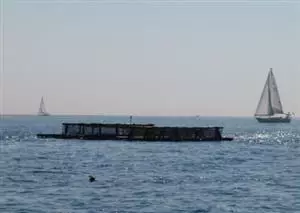 Aquaculture: helping blue turn green