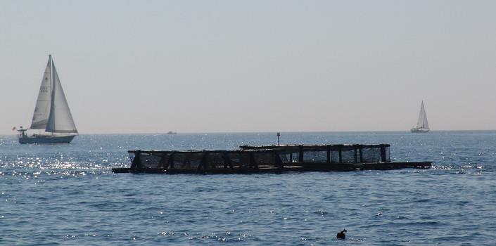 Aquaculture: helping blue turn green
