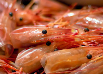Scientists are investigating how shell waste from crustaceans