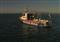 Cleaning oil spills with paper mill sludge