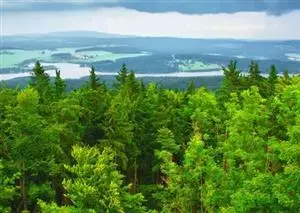 A balancing act for carbon stock preservation