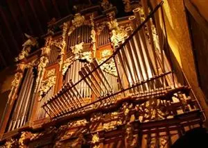 Ornate organs