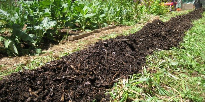 Organic by-product derived biochar, a greener option