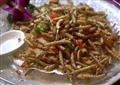 Eating Insects - New Proteins for Farm Animals