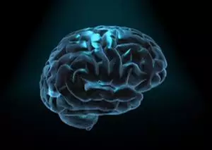 Brain model pins down motor decisions