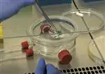 Human Bones from the Lab