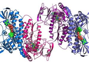 Designing ultra-sensitive biosensors for early personalised diagnostics