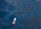 Speeding up nature’s oil spill cleaners