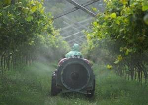 Reducing pesticides and boosting harvests