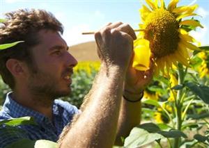 Free ecosystem services for better crops