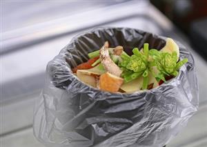 Should you put your food waste in a compostable plastic bag?