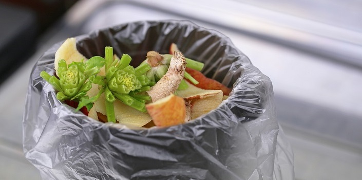 Should you put your food waste in a compostable plastic bag?