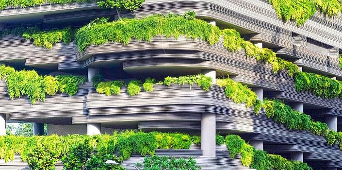 Climate change: trees to the rescue