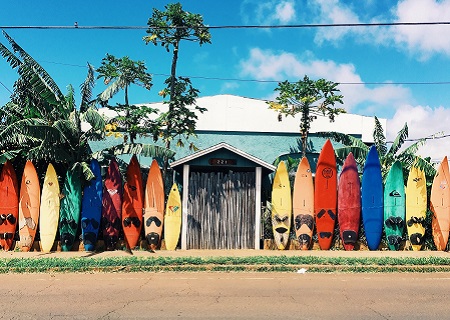 Surfing on bio-based boards