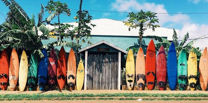 Surfing on bio-based boards