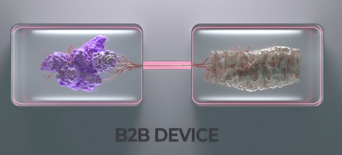 Breast cancer: innovative 3D device to boost research on metastasis
