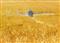 Agriculture goes green – New bio-fertilisers to make farming more sustainable