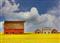 Digitalising for repopulating: a virtual marketplace to revive rural areas in the wake of Covid-19