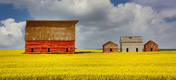 Digitalising for repopulating: a virtual marketplace to revive rural areas in the wake of Covid-19