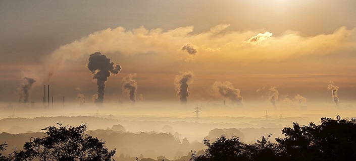 Bioeconomy and carbon neutrality: “Without further investments we will miss the target”