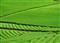 Reuse or let die. Crucial for life but threatening if in excess: the nutrient challenge