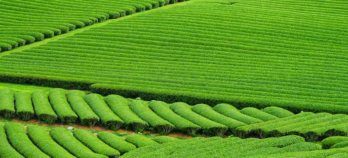 Reuse or let die. Crucial for life but threatening if in excess: the nutrient challenge