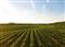 From science to practice: circularity at the crossroad of market and agriculture