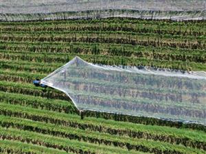 Life in agri-plastic is not fantastic… but it’s getting better