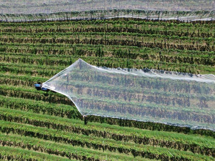 Life in agri-plastic is not fantastic… but it’s getting better