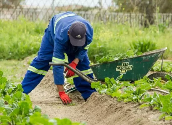From waste to resource: recovering nutrients to fertilise the future