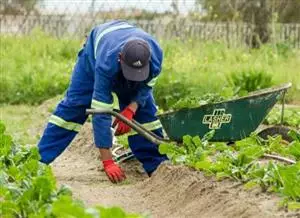 From waste to resource: recovering nutrients to fertilise the future