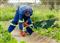 From waste to resource: recovering nutrients to fertilise the future