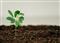CULTIVATING CHANGE: THE FUTURE OF BIO-BASED FERTILISERS IN EUROPEAN AGRICULTURE
