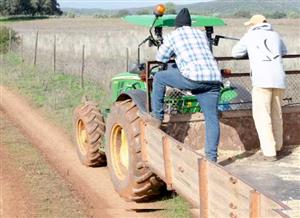 Learning the short food supply chain: how advisors and training empower sustainable agriculture
