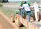 Learning the short food supply chain: how advisors and training empower sustainable agriculture