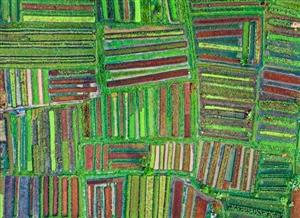 Bio-based fertilizers for all? The price and acceptance challenge