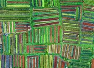 Bio-based fertilizers for all? The price and acceptance challenge
