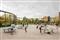 Transforming urban planning: selling the value of biodiversity to help stop nature’s decline