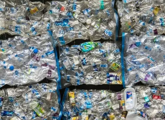 From poultry waste to food packaging: the end of plastic wrap as we know it?