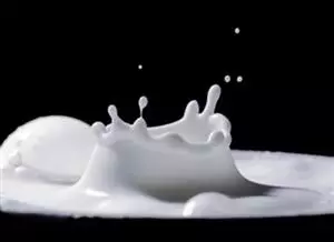 Milking value from waste: how dairy by-products become clean water and fertiliser