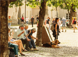 From heatwaves to civic action: how participation can shape climate resilience