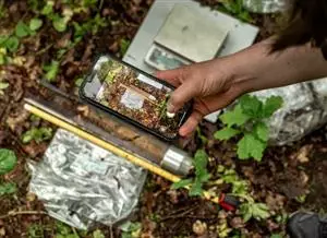Measuring soil carbon: science, markets and the limits of certification