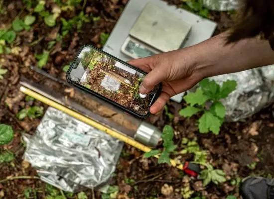 Measuring soil carbon: science, markets and the limits of certification