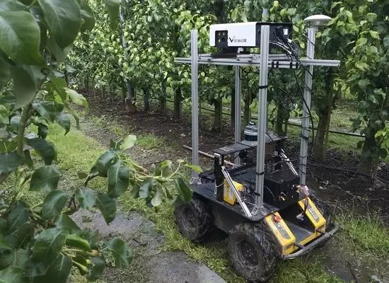 Under the panels: where robots help farming and solar grow together