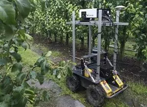 Under the panels: where robots help farming and solar grow together